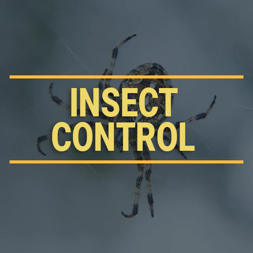 INSECTCONTROLBOX
