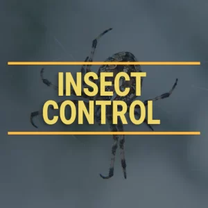 INSECT CONTROL