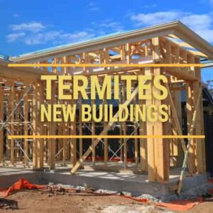 TERMITES-NEW BUILDINGS