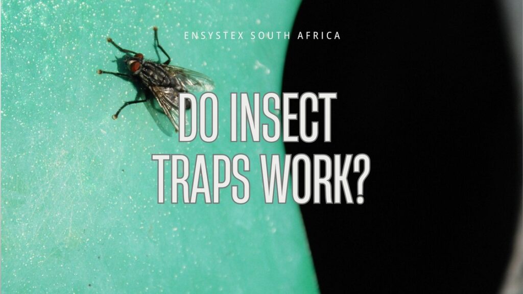 do insect traps work