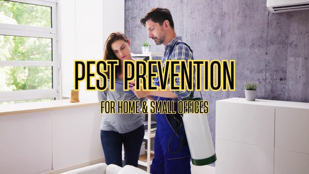 pest prevention